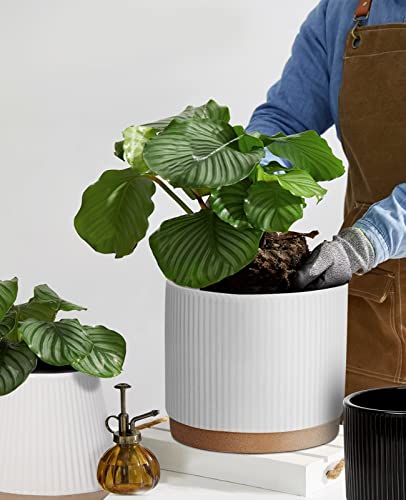 Ladovita Ceramic Pots For Indoor Plants, 5.5 Inch Cone & 6.5 Inch Round Flower Pots, Ceramic Planter Set Of 2 Unique Shape Plant Pots, Outdoor Indoor Garden Decorative Planters, White Vertical Stripes #TOP6