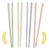★ Aplicación: muy adecuado para cenas y principiantes de estilo asiático, noche de sushi, sopa de espagueti, un plato de arroz, olla caliente, parrilla, etc. Ideal para adultos o niños, como comida china, ensalada, olla caliente, comida japonesa, sushi, sopa de fideos, barbacoa coreana, etc.