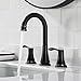 PARLOS Two-Handle High Arc Bathroom Faucet with Metal Pop Up Drain and cUPC Faucet Supply Lines Widespread 8 inch Deck Mounted,Oil Rubbed Bronze, Demeter 13652