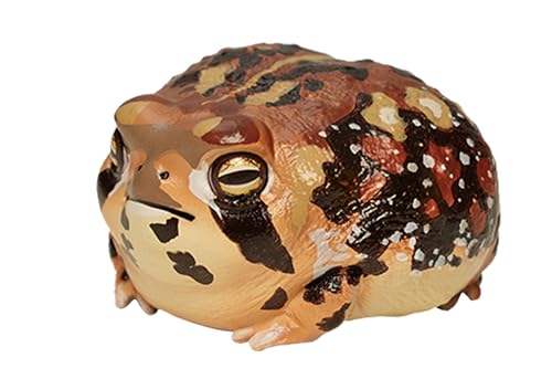 IFiDEA Animal Heavenly Body Series 13 Amphibian Chubby Collectible Miniature - Frog Statue for Home Office Decor, Realistic Reptile Sculpture...