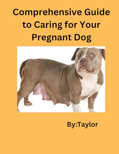 Comprehensive Guide To Caring For Your Pregnant Dog