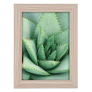 goldbuch 92 0752 fotolijst Toscana van hout, fotolijst voor afbeelding in 10 x 15 cm formaat, portretlijst met standaard en wandhouder, enkele lijst van MDF, fotolijst, taupe