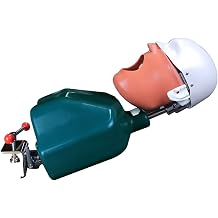 Teaching tools,Dental Manikin with Torso, Dental Simulator Unit, Dental Phantom Head Model Bench Mount for Dentist Education
