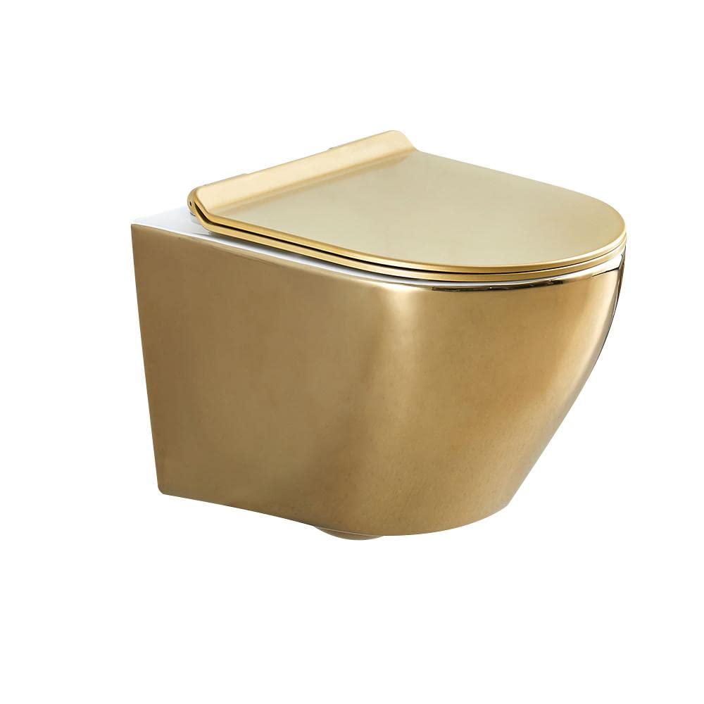 Homary Luxury Tankless Toilet, Modern Wall-Hung Round Toilet Bowl with  Rimless Flush (Gold) - Amazon.com