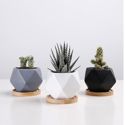 Chez JuJu Modern Geometric Ceramic Succulent Pots 3" Planters with Drainage | Bamboo Tray | 3 Pack Chez JuJu Modern Geometric Ceramic Succulent Pots 3" Planters with Drainage | Bamboo Tray | 3 Pack