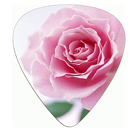 Dmsc . Belle qualité supérieure Fleur Meilleure celluloïd Plastique votres Guitare Médiator Moyen Calibre 0.71mm / 0… - Les Beatles, Paul McCartney, John Lennon, RIngo Starr, George Harrison Dmsc . Belle qualité supérieure Fleur Meilleure celluloïd Plastique votres Guitare Médiator Moyen Calibre 0.71mm / 0… – Image 3