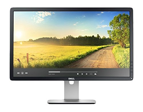 Dell P2414H 24 Inch Ips Led Widescreen Monitor (Renewed)