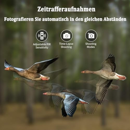 FunKind Wildkamera 4K 50MP, Wildtierkamera mit Nachtsicht Bewegungsmelder Weitwinkel 120°, 850nm IR LEDs Nachtsichtkamera, Nachtsicht bis zu 25 m, Jagdkamera mit 32 GB SD, Wasserdicht IP65
