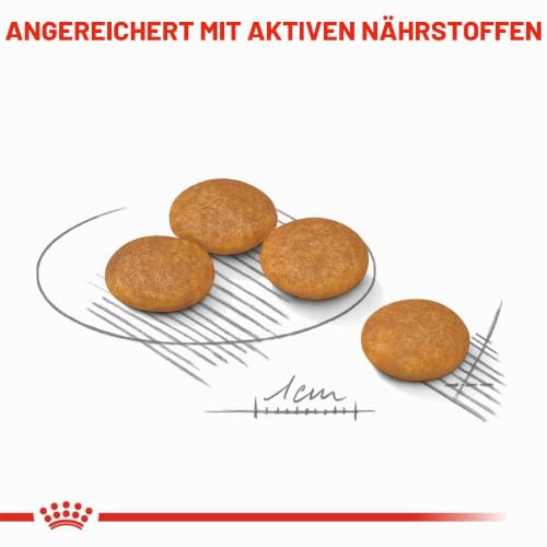 Royal Canin Dermacomfort Mini | 1 kg | Alleinfuttermittel für kleine Hunde | Mit Omega-3- & 6-Fettsäuren – Ansicht 5