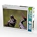 Produktbild CALVENDO Puzzle Schwarzstörche 1000 Teile Lege-Größe 64 x 48 cm Foto-Puzzle Bild von Johann Schörkhuber