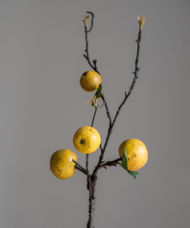 Rustic Reach Lifelike Artificial Apples Fake Plant | Decorative Apples Fake Tree for Vase | Festival Party Office Home Decor - 27" Tall (1 Stem)
