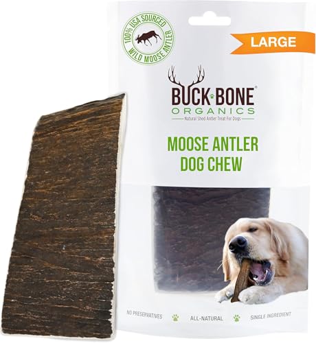 Buck Bone Organics Dog Chews Moose Antlers for Dogs Long Lasting Dog Bones for Aggressive Chewers All Natural No Preservatives Wild Shed in the USA (Large)