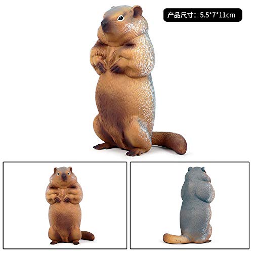Statue simulation solide marmotte incassable pour remplacer les décos fragiles - 4