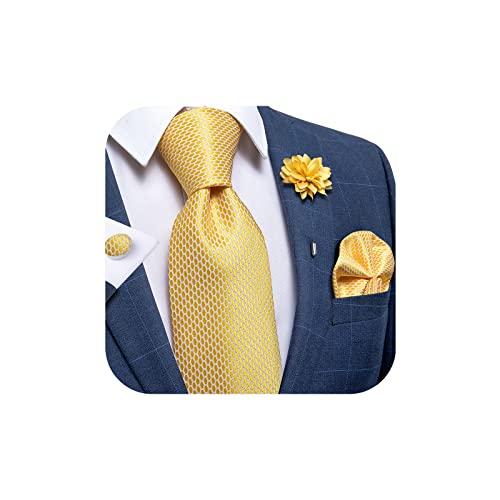 Image of DiBanGu Silk Ties for Men Necktie and Lapel Pin Brooch Set Formal Woven Paisley Plaid Striped Solid Tie Wedding Party
