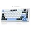 White & Blue | Brown Switch
