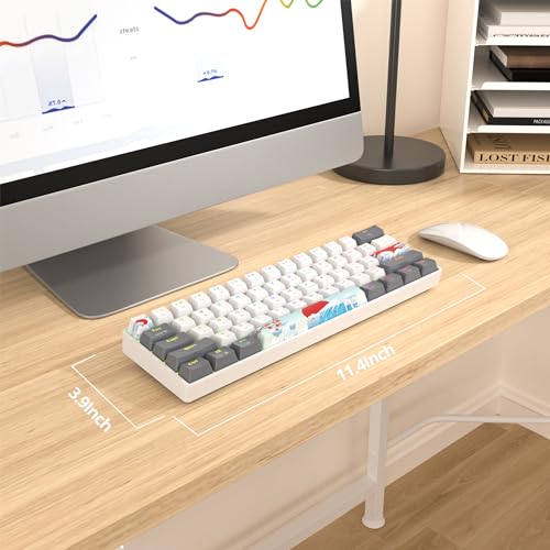 Image of Fogruaden 60% Percent Mechanical Keyboard RGB Gaming Keyboard 60 Percent, Ultra-Compact 61Keys Mini Wired Keyboard with Red Switch for Win /Mac PC Gamer(WhiteGrey, Red Switch)