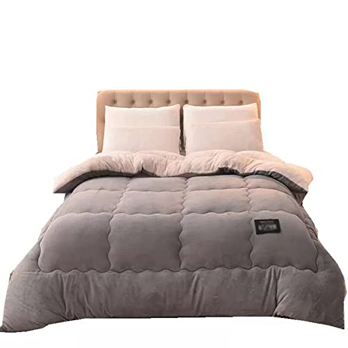 ZTGL Edredón Cálido De Invierno, Edredón De Microfibra Terciopelo y Borreguito, 2.5-5 Kg Manta Gruesa Cálido, Antialérgico Edredón De Plumón Reversible,Gris,150x200cm(3kg)
