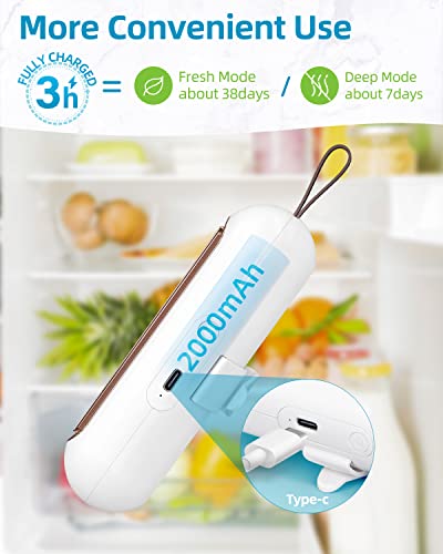 Seancheer Fridge Deodorizer, Mini Usb-C Rechargeable Reusable Refrigerator Deodorizer, Refrigerator Odor Eliminator With Hook Lanyard For Fridge Wardrobe Shoes Cabinet #TOP4