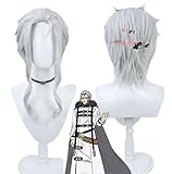 [漫落桜]無職転生 ～異世界行ったら本気だす～ 第2 クール オルステッド コスプレウィッグ 風 耐熱 cosplay wig