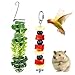 Wjelet 2Pcs Rat Toys-Rat Cage Accessories, 304 Stainless Steel for Fruit Vegetable Holder, Hanging Rodent Toys Slow Feeder, Bird Foraging for Parakeet(Silver)