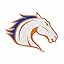 Texas-Arlington Mavericks Primary