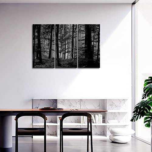 So Crazy Art- Black And White Wall Art Decor Lush Wood Forest Canvas Pictures Artwork 3 Panel Nature Landscape Painting Prints For Home Living Dining Room Kitchen #TOP1