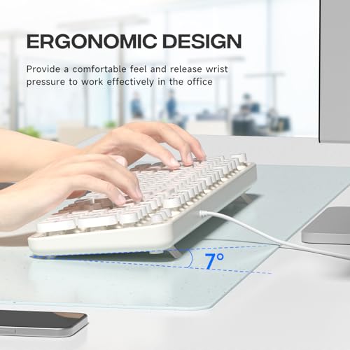 Image of Dilter USB Wired Computer Keyboard - Full Size Office Keyboard with Number Pad, Caps Indicators, Foldable Stands, for PC Laptop Desktop Windows 7 8 10 (Creamy White)