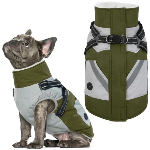 Vestes imperméables pour chiens de taille moyenne schnauzer carlin avec harnais pull