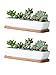 Kipokalor Succulent Planter Pot,2 Set 11.1x2.36x1.77inch Long Rectangular Modern Minimalist White Ceramic with Saucer for Office,Desk,Window.