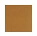 Guerrilla Painter 10-Pack Plein Air Carton Painting Panels, 6 by 6-Inch