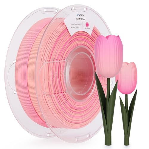 Filament AMOLEN PLA RAINBOW MATTE