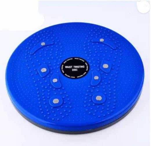 Owlix Heavy Quality Twister Ab Exerciser (Multicolor)-image-39