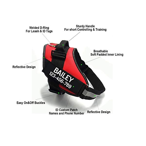 PawPawify-Custom-No-Pull-Dog-Harness-with-Name-and-Phone-Number-Heavy-Duty-Personalized-Pet-Vest-to-Prevent-Tugging-Pulling-or-Choking-Training-and-Walking Custom No Pull Dog Harness with Name