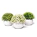 Produktbild Coradoma Künstliche Pflanzen im Topf 3er Set Deko Pflanze Kunstpflanze mit Gras Mini Sukkulente Blumen Set Klein Kunstblumen für Balkon Büro Wohnzimmer Hochzeit Geschenk