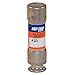 30A Cylindrical Time Delay Polyester Fuse, 250VAC/DC