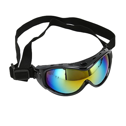 Lunettes de soleil de gros chien pour stopper les irritations oculaires liées au vent