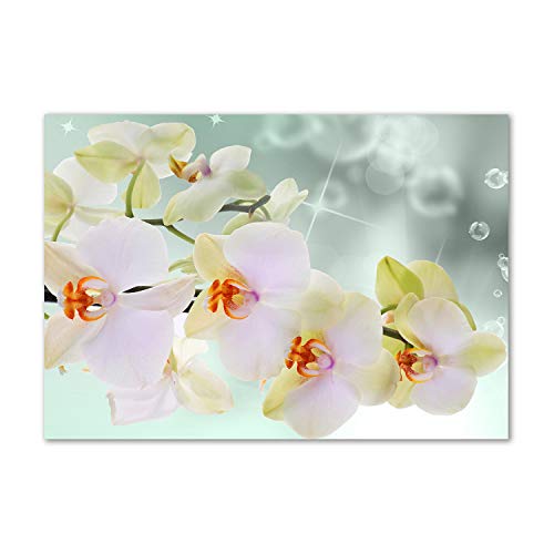 Fond de hotte verre 100x70 Tulup créditence cuisine fleurs blanc orchidée protège-mur