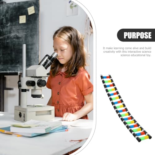 Kit modélisme ADN pour atelier scientifique et devoirs à la maison - 6