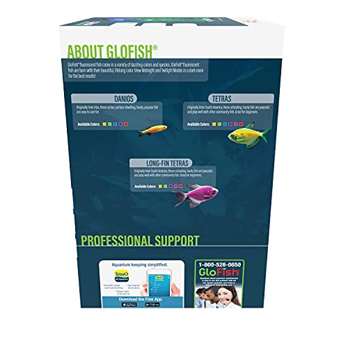 Glofish AQ-78239 Desktop Aquarium Kit - 5 Gallon thumb #2