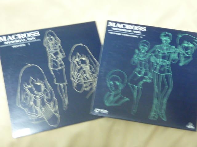 アニメ MACROSS MEMORIAL BOX 11 laserdisc Macross Laser disc memorial box japanese japan 11-Disc Box