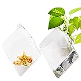 Floro Glass Wall Hanging Terrarium, Elegant Diamond Shaped Vases, Minimalistic, Modern & Stylish Wal