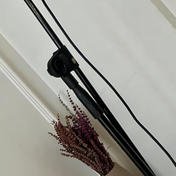 Prof-yle (2024 Remastered Version) [Explicit]