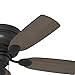 Hunter Fan Company 52392 Low Profile Ceiling Fan, Matte Black