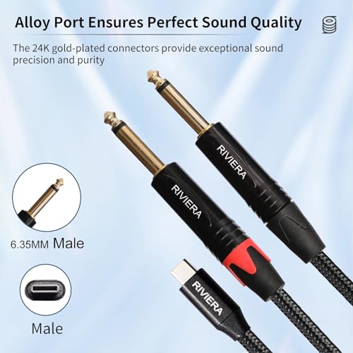 Cable de audio USB C a 6.35mm 3.0 m RIVIERA miniatura 7