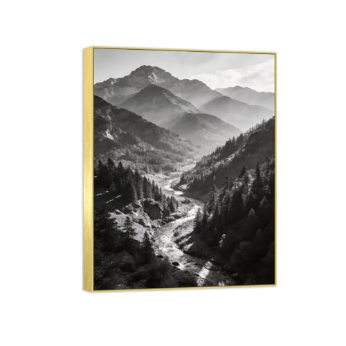 Tableau Toile Noir et Blanc Paysage Forêt Rivière 80x105cm Cadre Doré Mural