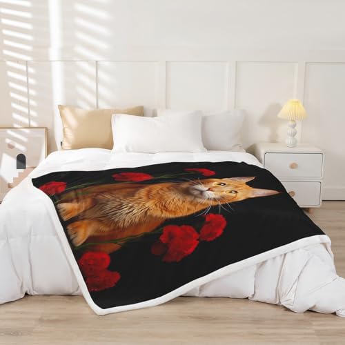 Image of Orange Cat Fleece Blankets for Kids Boys Girls Floral Print Blanket Cute Kitten Pattern Throw Blanket Sherpa Blanket 3D Animal Theme Teens Adults for Couch Bed Sofa Plush Blankets Twin 60 inchx80 inch