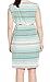 Calvin Klein Women's Plus-Size Belted Striped Sheath Dress