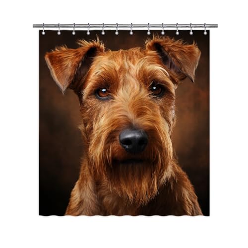 Ganshan Bi Funny Irish Terrier Dog Shower Curtain for Bathroom Home Decor Dog Puppy Pet Animal Print Bath Curtains with 12 Hooks 72x72 Inch Style 3