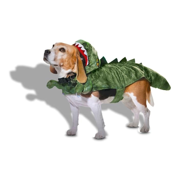 Disfraz de dinosaurio para perro X-Small Bootique