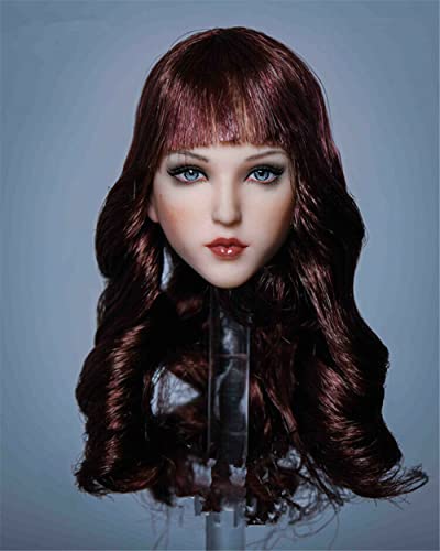 Sculpture de tête féminine 1/6 aux cheveux plantés asiatiques de haute précision AMITD